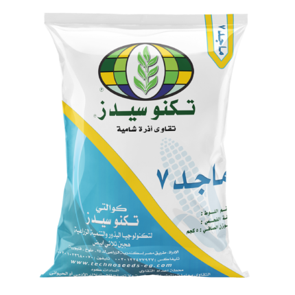 ذرة – تقاوي ذرة – هجين ثلاثي – سيلاج – علف أخضر – حبوب – إنتاجية عالية – مقاومة الأمراض – زراعة الذرة – محصول علفي