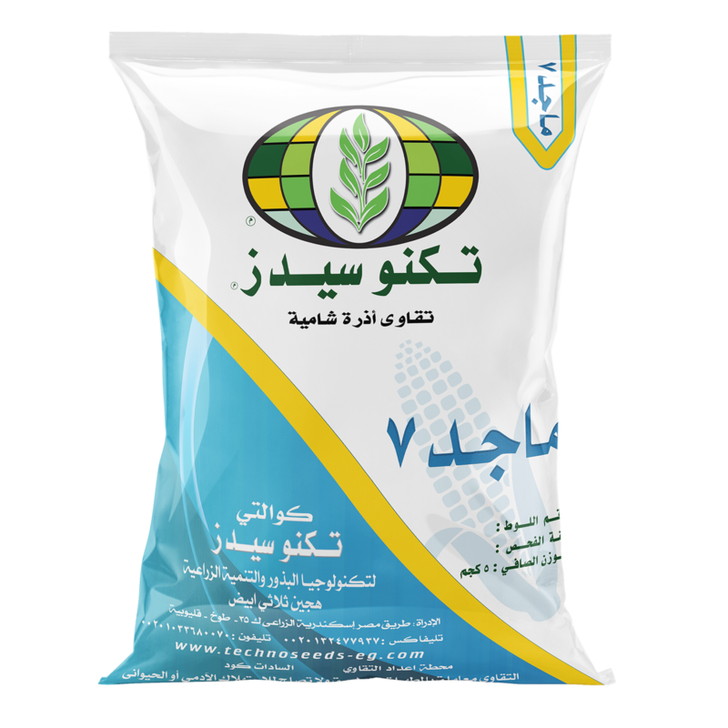 ذرة – تقاوي ذرة – هجين ثلاثي – سيلاج – علف أخضر – حبوب – إنتاجية عالية – مقاومة الأمراض – زراعة الذرة – محصول علفي